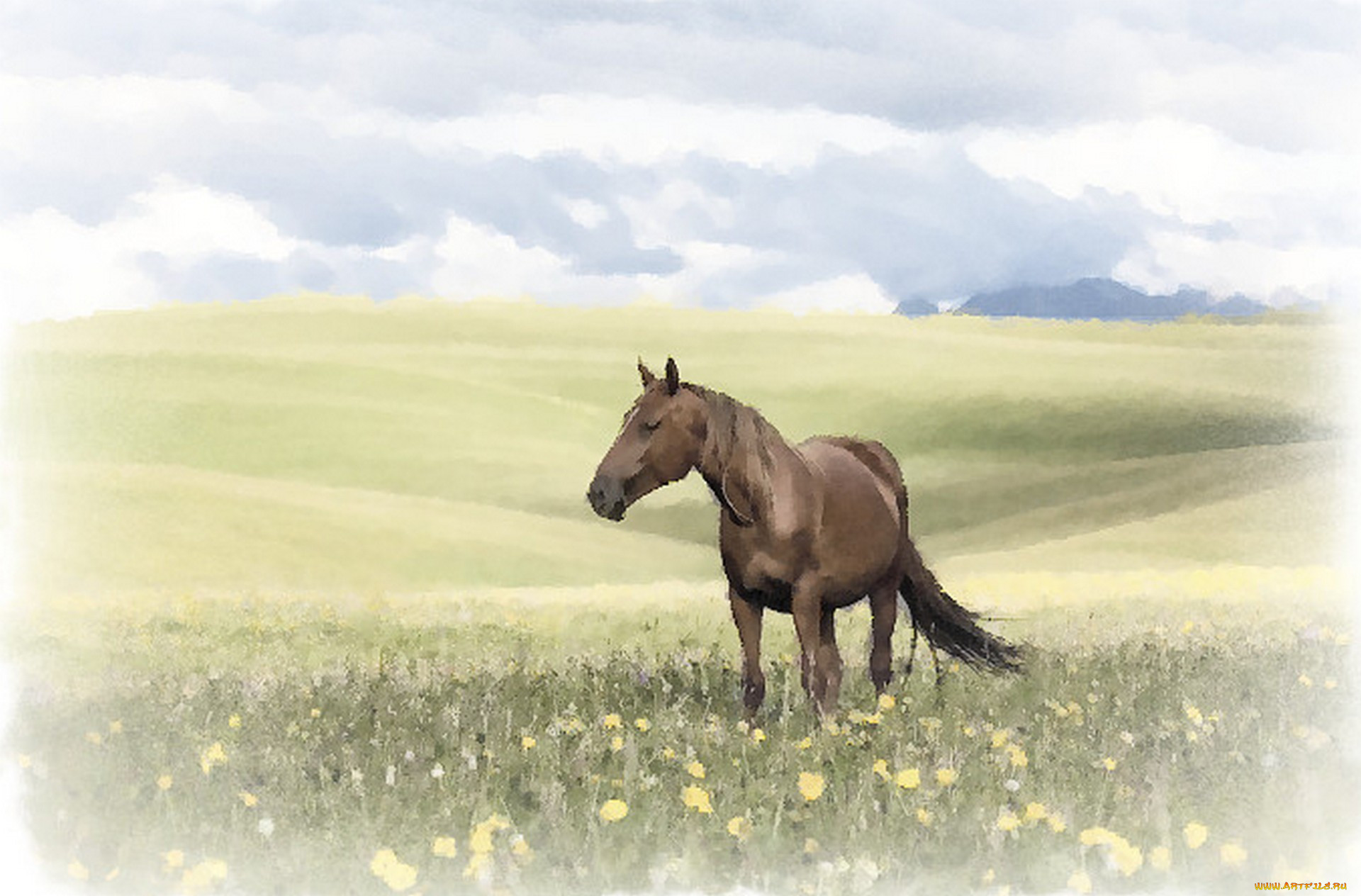 Лошадь в поле иллюстрация